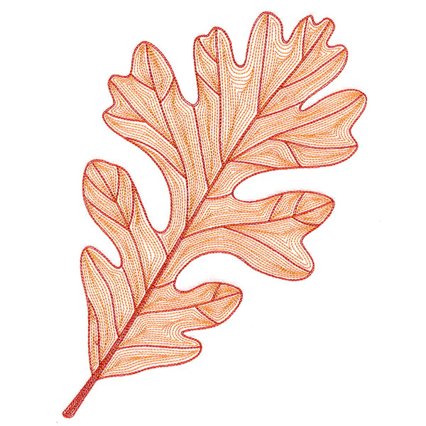 Fall into Autumn - Oak Leaf - Image 4