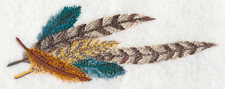 Fanciful Feathers Potpourri Border - Image 4