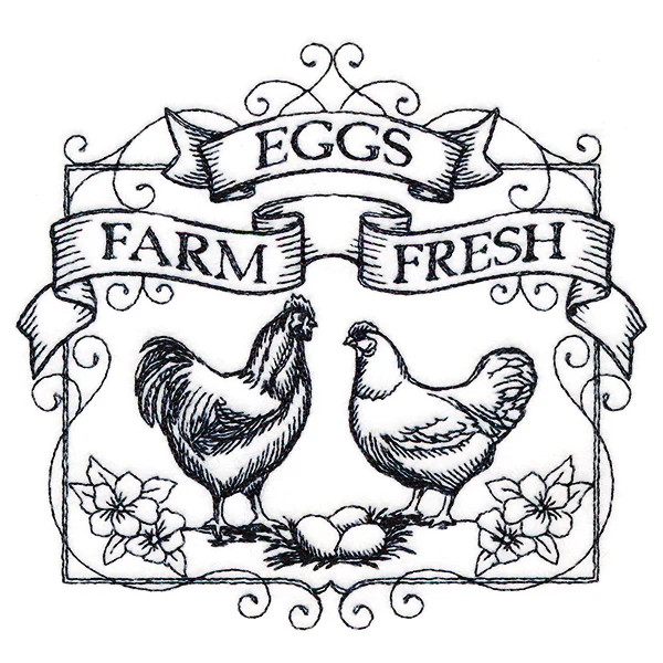 Fancy Farm Fresh Eggs - Image 3