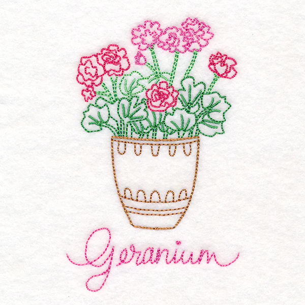 Fancy Flowerpot Geraniums (Vintage) - Image 3