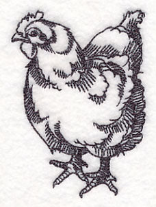 Farm Animal Sketch - Chicken - Image 4
