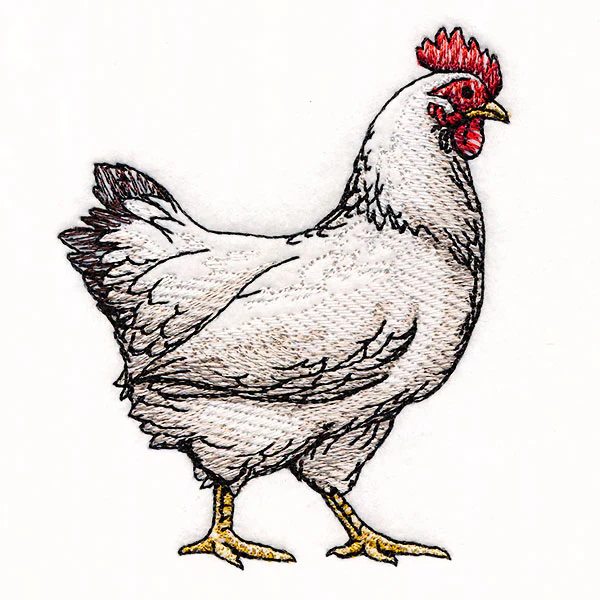 Farmhouse Chicken - Image 7