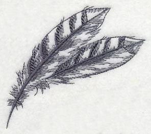 Feather - Bluejay