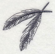 Feather - Cardinal - Image 2