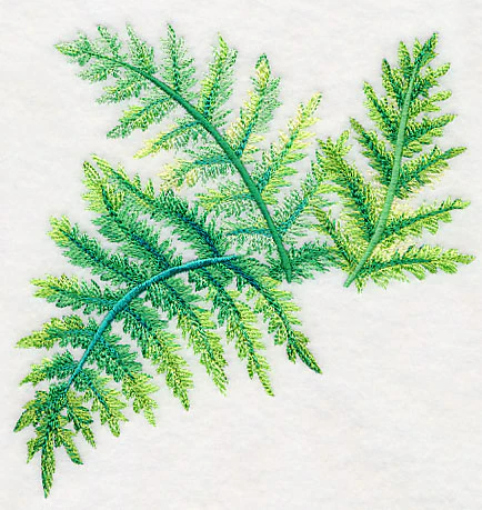 Ferns in Watercolor - Image 3