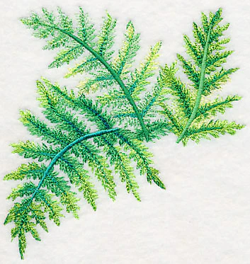 Ferns in Watercolor - Image 4