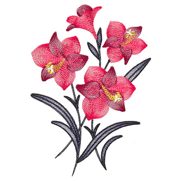 Festive Flourishing Bouquet - Amaryllis - Image 3