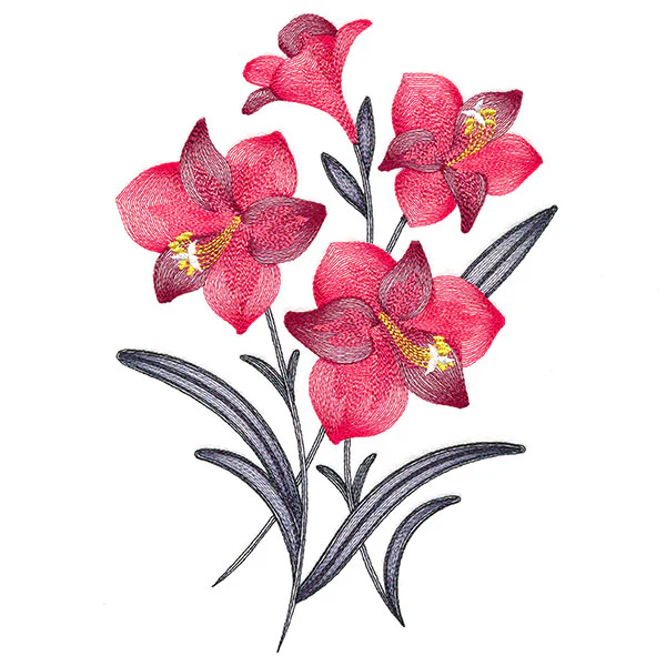 Festive Flourishing Bouquet - Amaryllis - Image 4