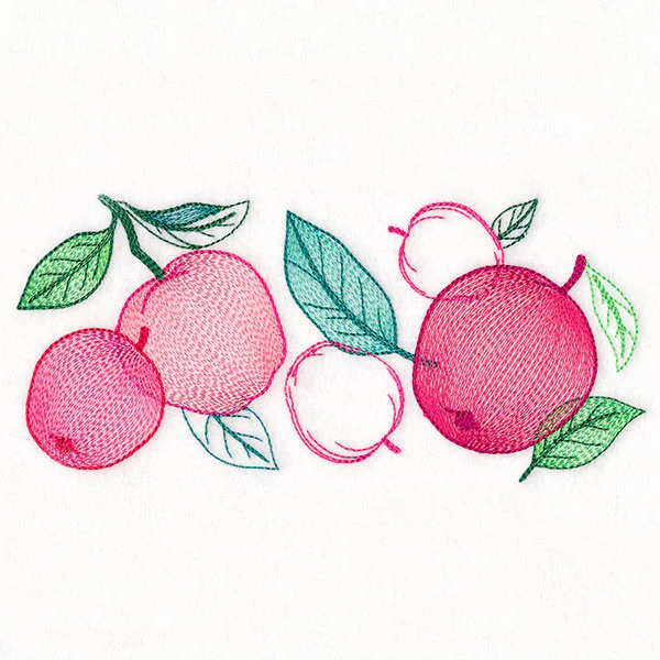 Festive Harvest Apples Border - Image 7