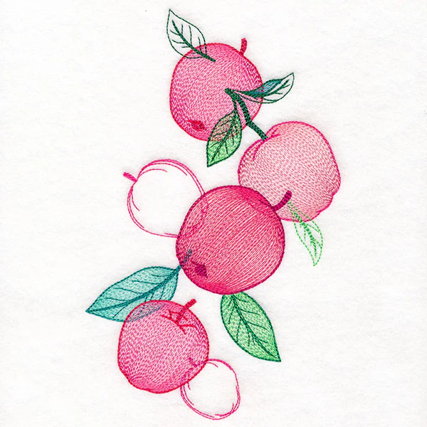 Festive Harvest Apples Feature - Image 3