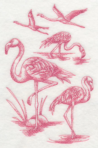Flamingo Sketch - Image 4