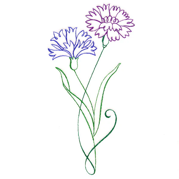 Floral Calligraphy - Cornflower - Image 3