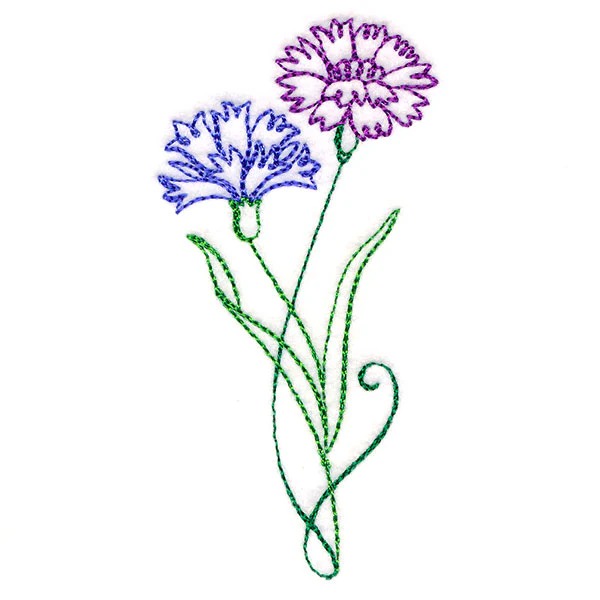 Floral Calligraphy - Cornflower - Image 5