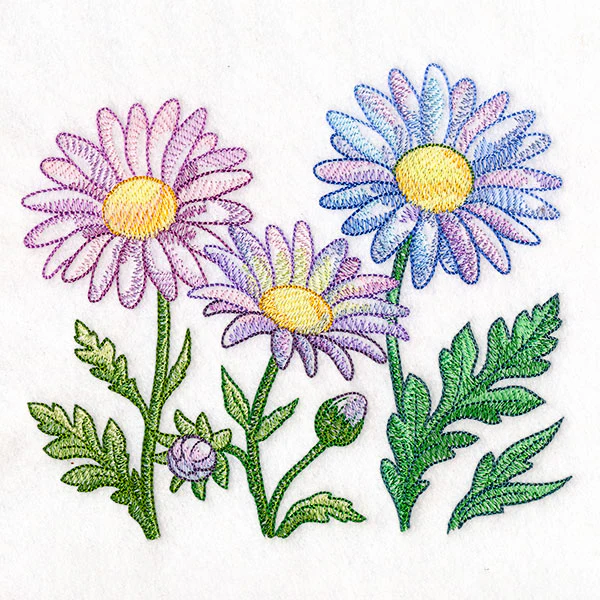 Flourish and Grow Daisies Border - Image 2