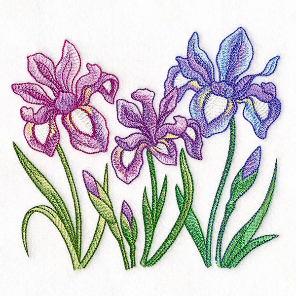 Flourish and Grow Iris Border - Image 2