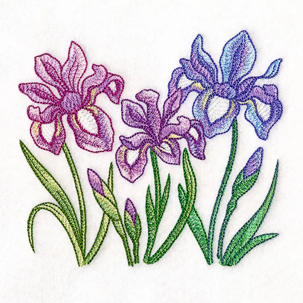 Flourish and Grow Iris Border - Image 3