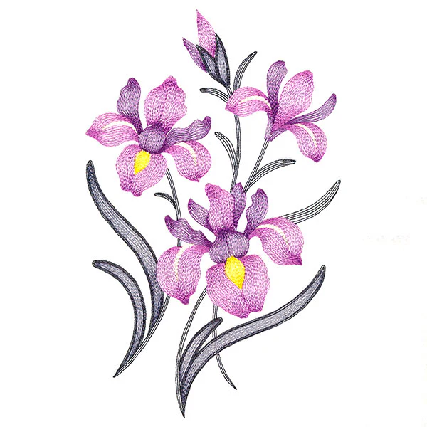 Flourishing Bouquet - Irises - Image 5