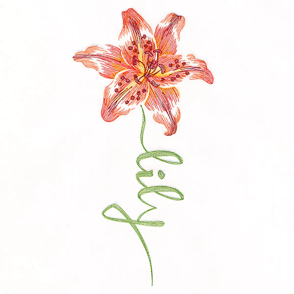 Flourishing Calligraphy - Lily