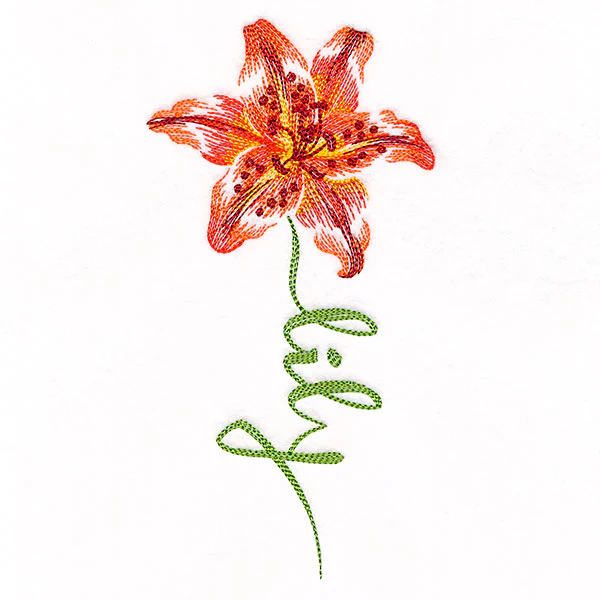 Flourishing Calligraphy - Lily - Image 4