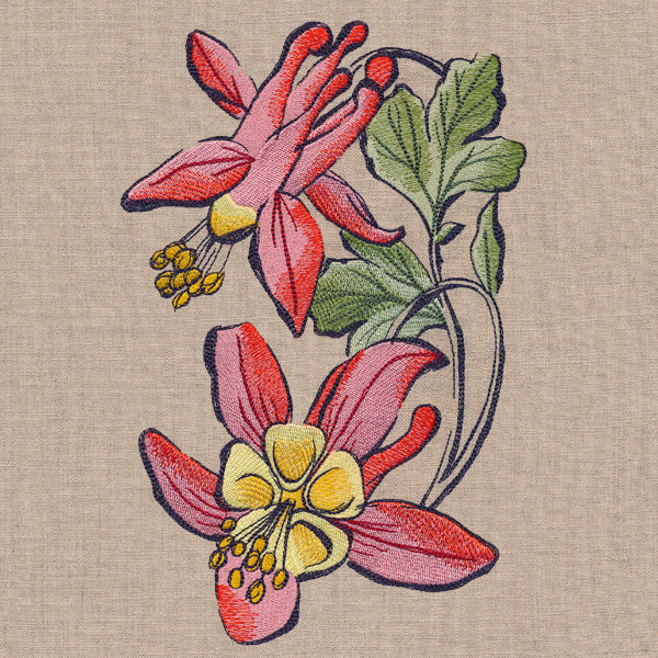 Flowers of the Forest - Columbine - Image 2