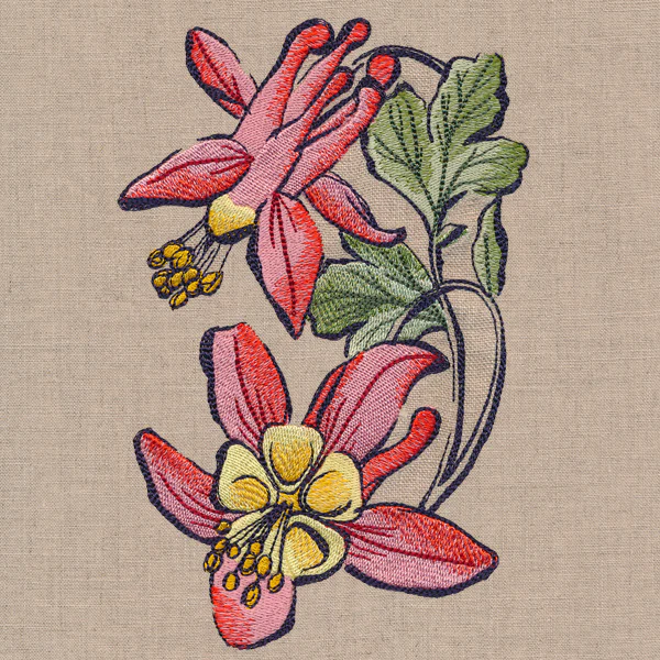 Flowers of the Forest - Columbine - Image 4
