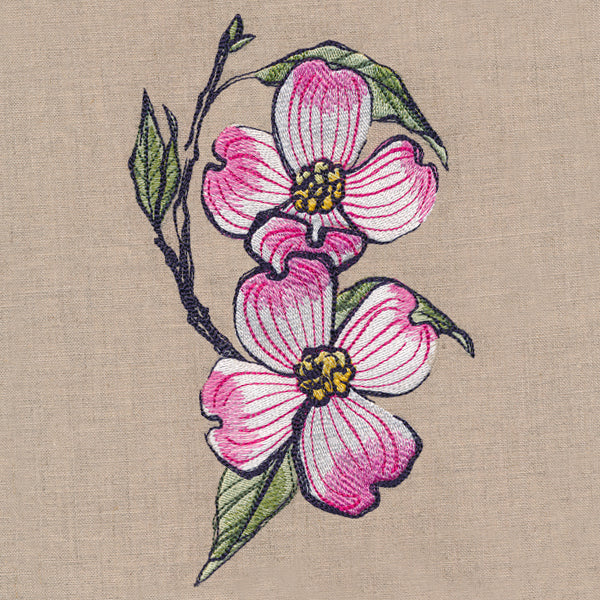 Flowers of the Forest - Dogwood - Image 4