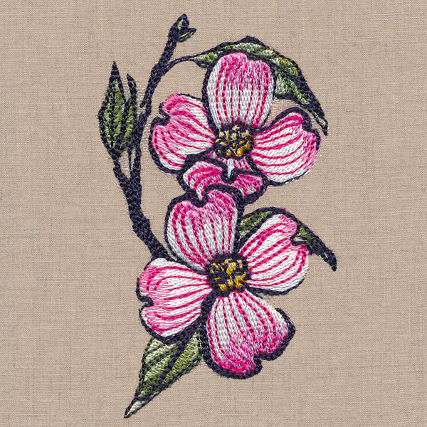 Flowers of the Forest - Dogwood - Image 5