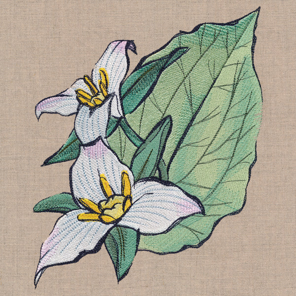 Flowers of the Forest - Western Trillium - Image 2