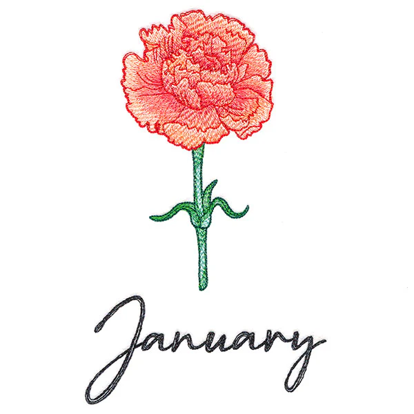 Flowers of the Year - January - Image 7