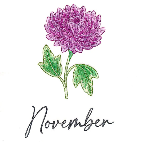 Flowers of the Year - November - Image 5