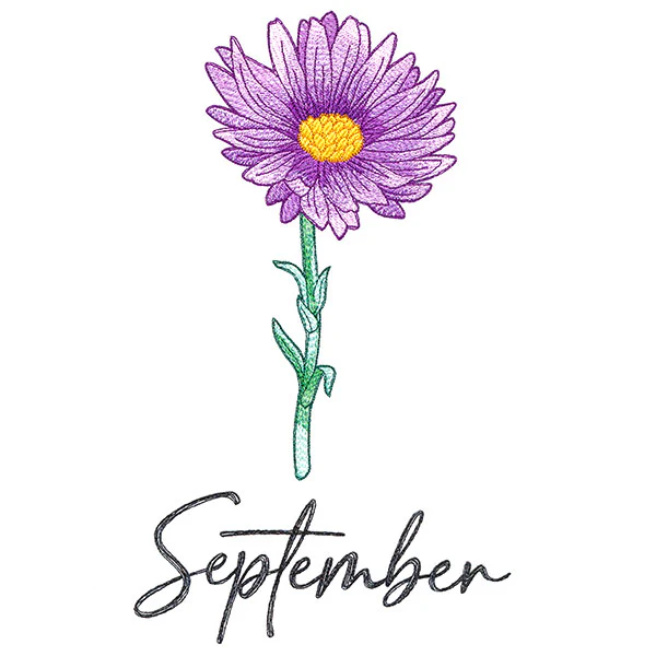 Flowers of the Year - September - Image 5