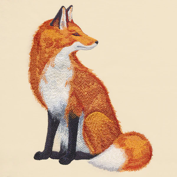 Fluffy Fox