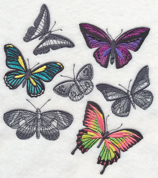 Fluttering Colors