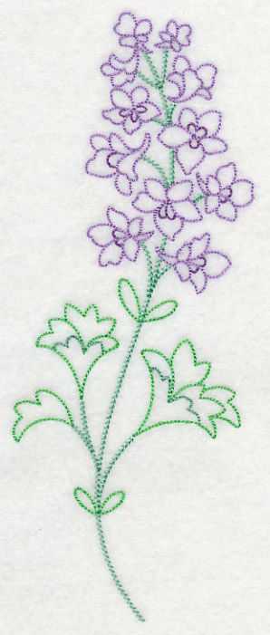 Foothill Larkspur (Vintage) - Image 2