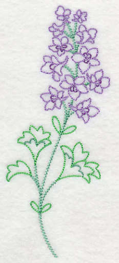 Foothill Larkspur (Vintage) - Image 4