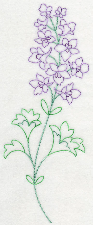 Foothill Larkspur (Vintage) - Image 5