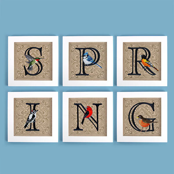For the Love of Spring Birds Square - Letter G and Robin - Image 12