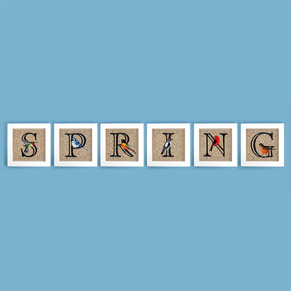For the Love of Spring Birds Square - Letter P and Bluejay - Image 14