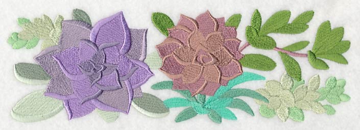 For the Love of Succulents Border - Image 2