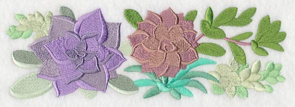 For the Love of Succulents Border - Image 3