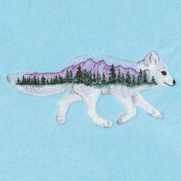 Forest Fox - Image 4