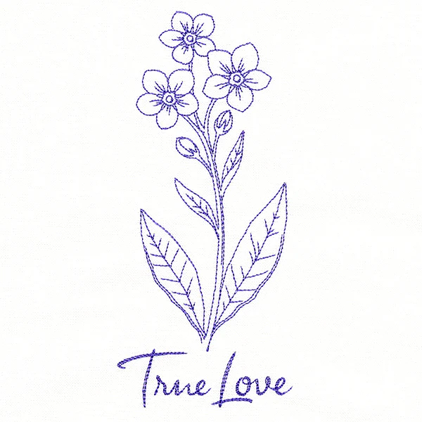 Forget-Me-Nots of True Love (Vintage)