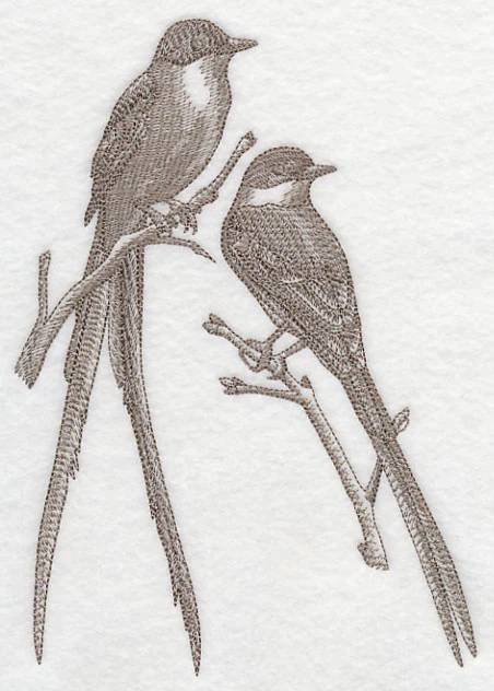 Fork-tailed Flycatchers (Toile) - Image 2