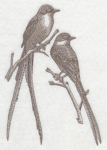 Fork-tailed Flycatchers (Toile) - Image 4