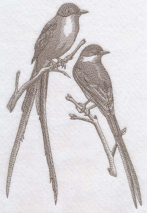 Fork-tailed Flycatchers (Toile) - Image 5