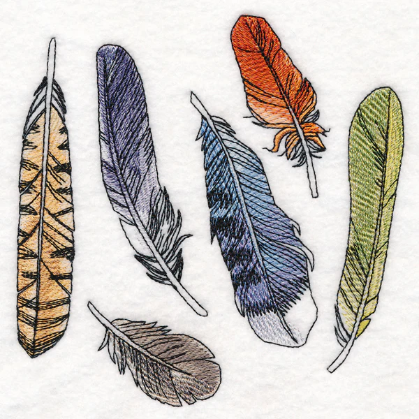 Found Feathers - Image 3