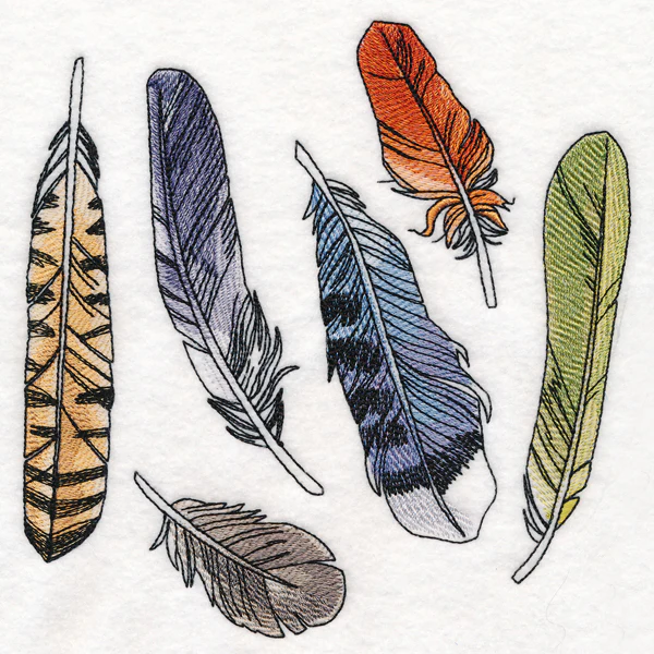 Found Feathers - Image 6