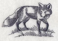 Fox in Nature 2