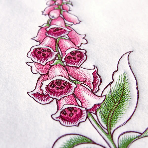 Foxglove in Bloom - Image 8