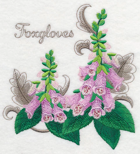 Foxgloves with Flourish - Image 2